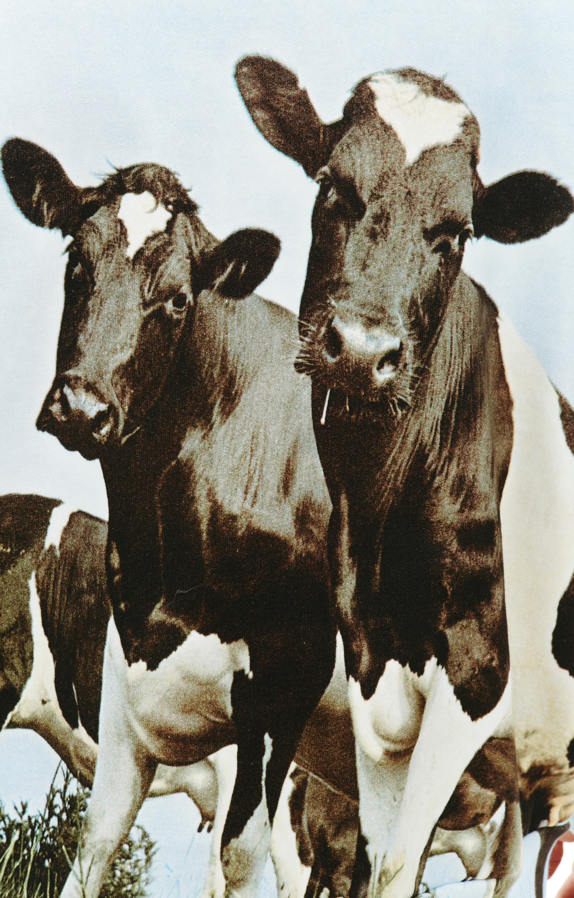 Undercover Свитшот с принтом обложки Pink Floyd