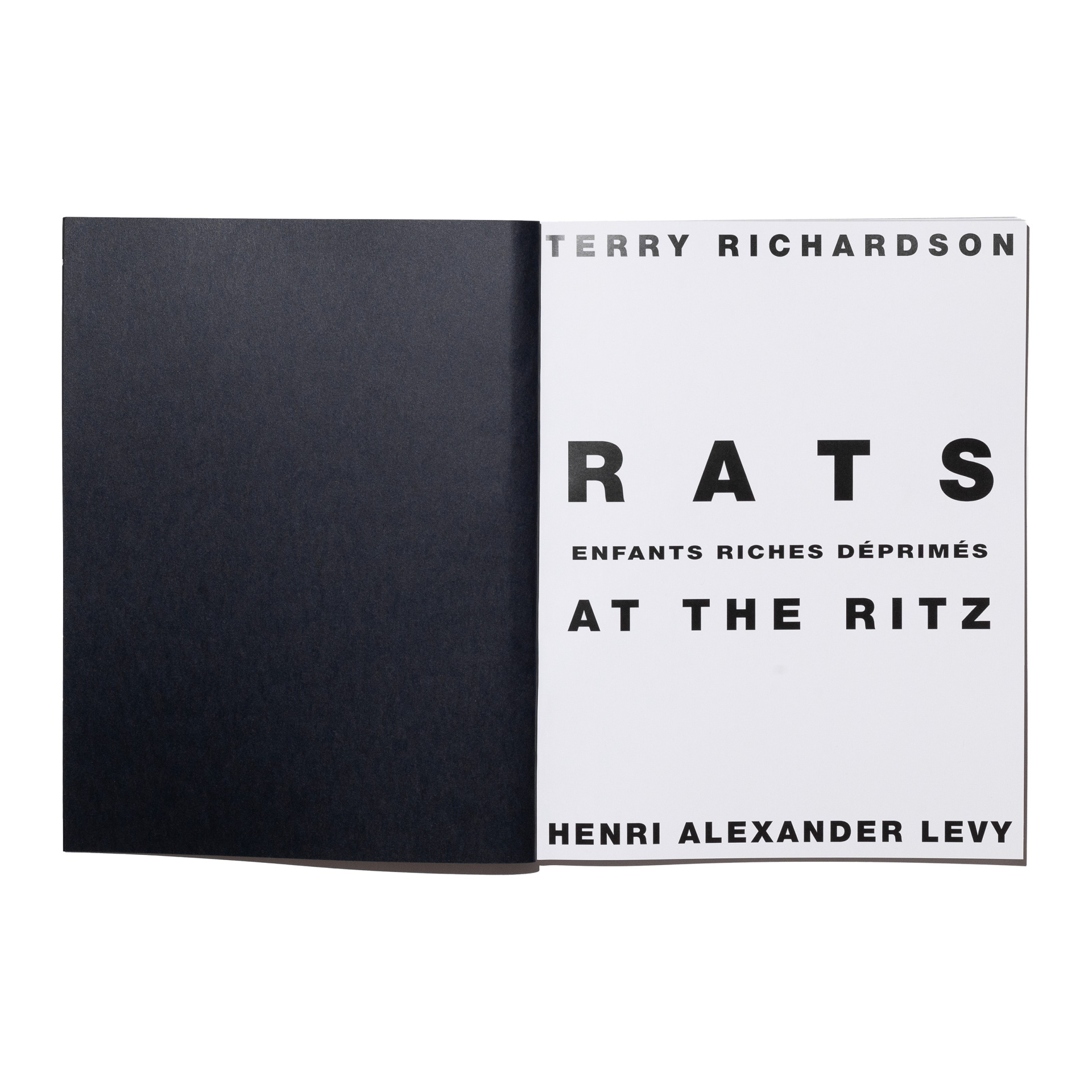 Enfants Riches Déprimés Книга RATS AT THE RITZ