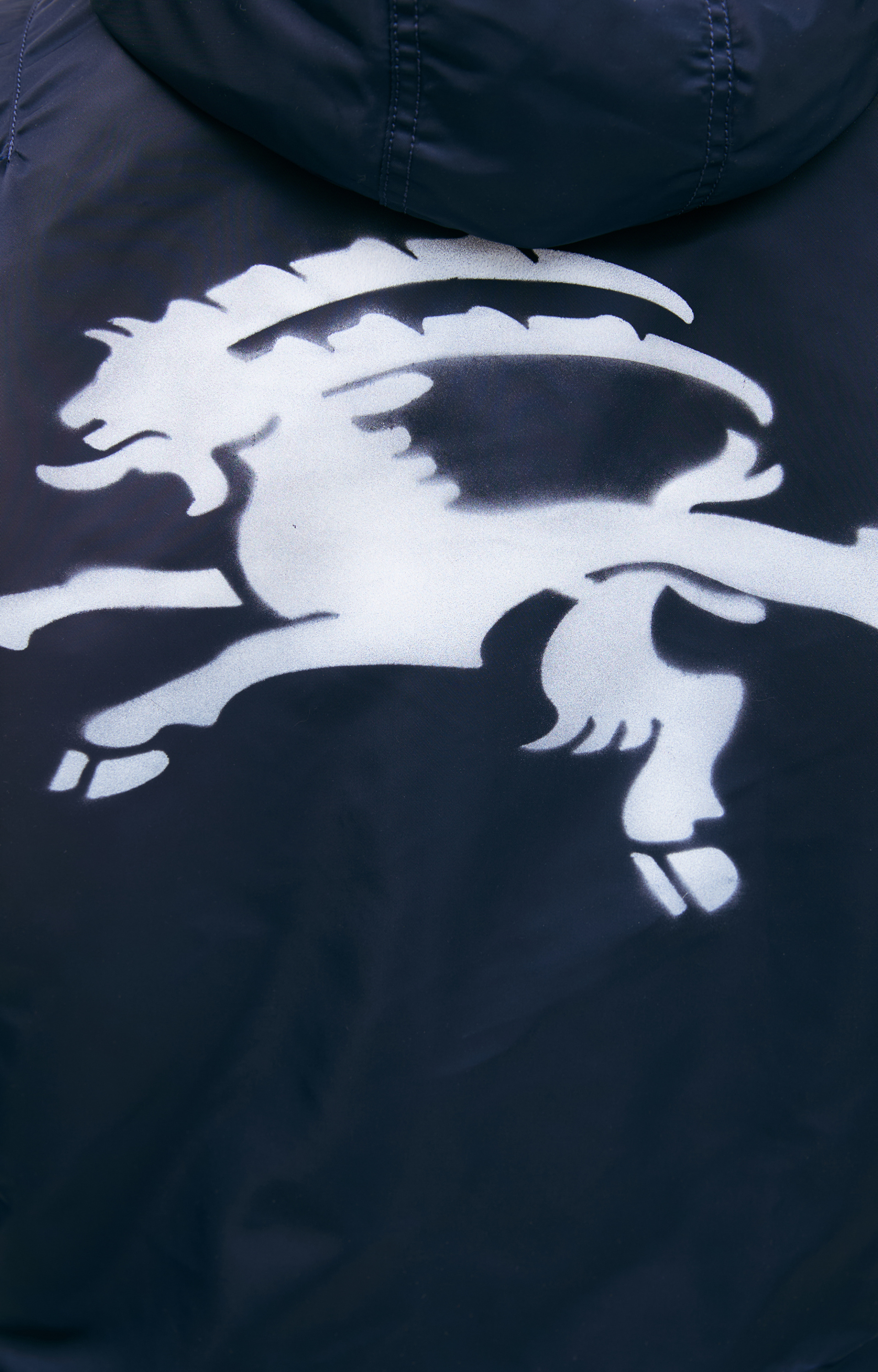 PROTOTYPES Бомбер SPRAYED ALPHA x PROTOTYPES