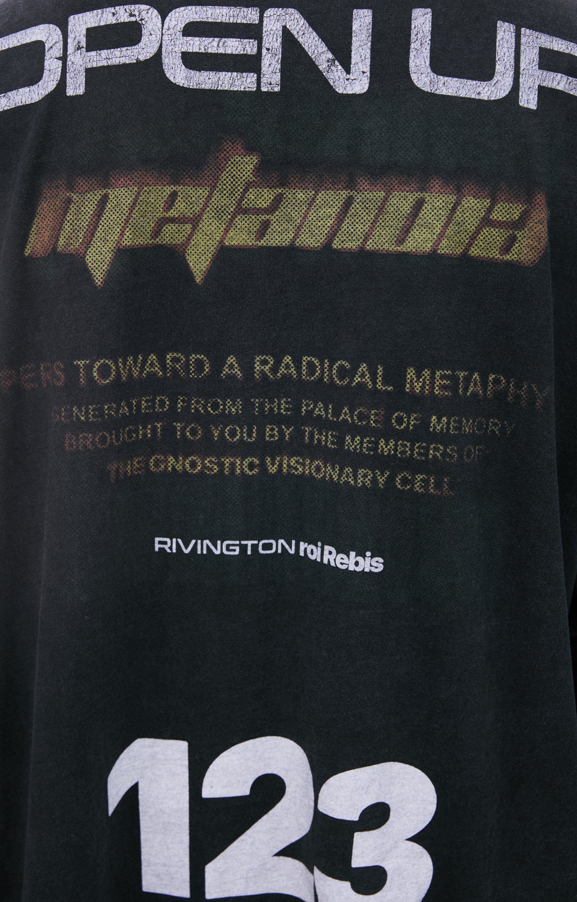 RRR123 Хлопковый лонгслив с принтом