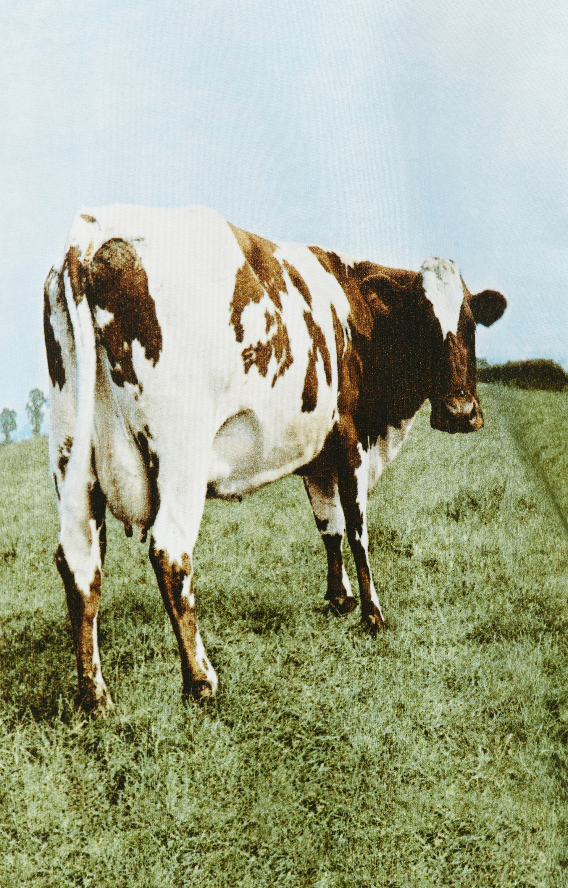 Undercover Свитшот с принтом обложки Pink Floyd