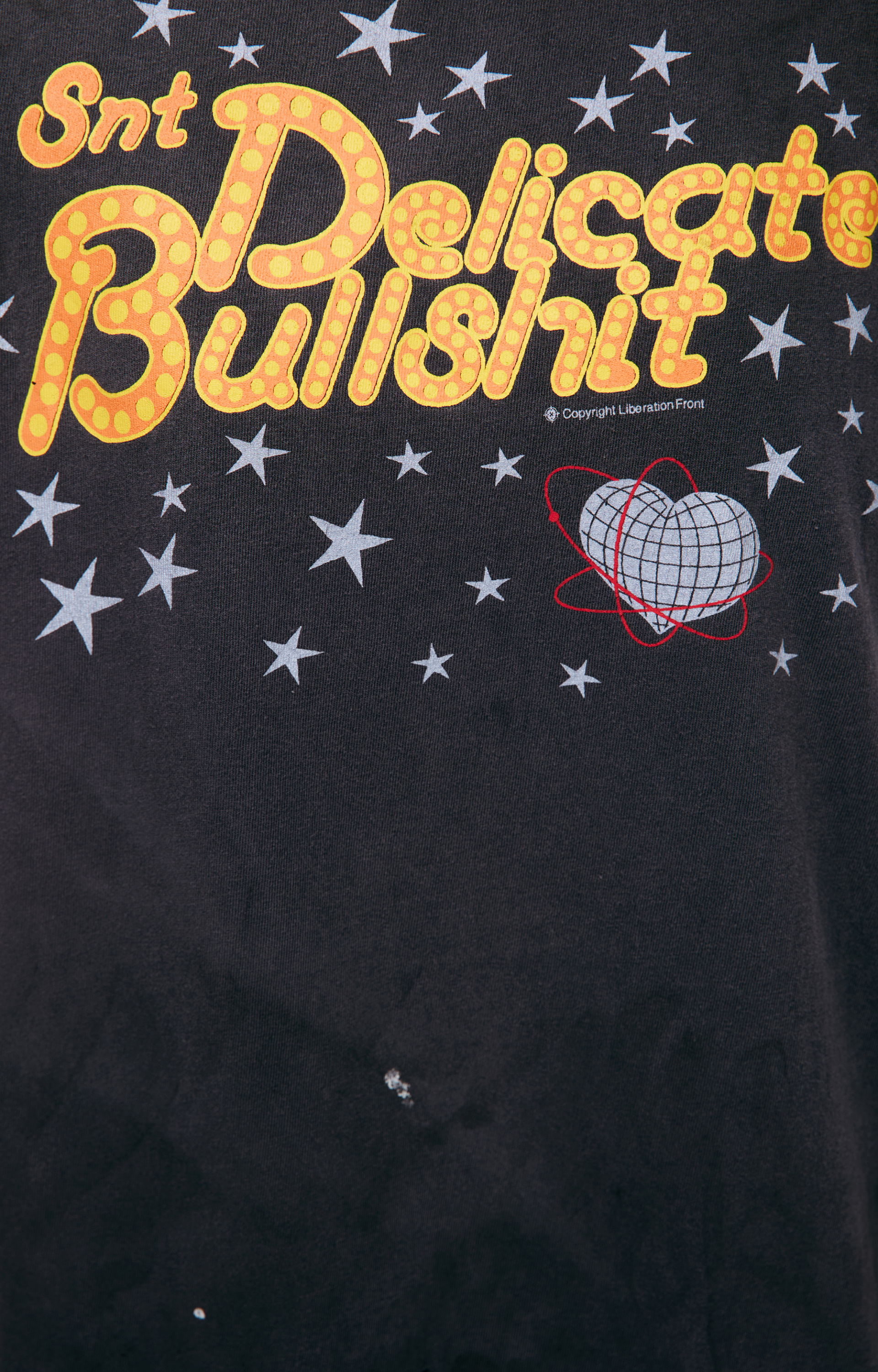 Saint Mxxxxxx Футболка \'DELICATE BULLSHIT\'