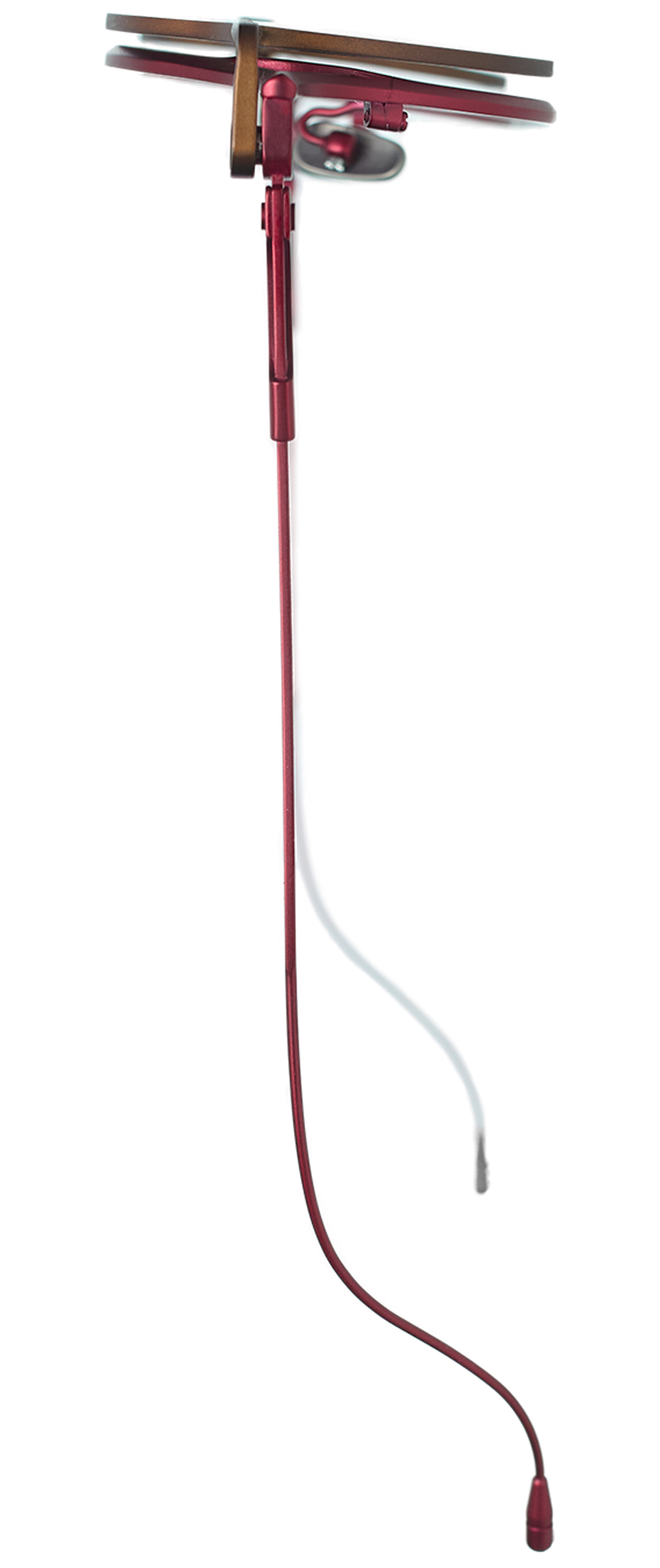 The Viridi-Anne Красные солнцезащитные очки Rigards